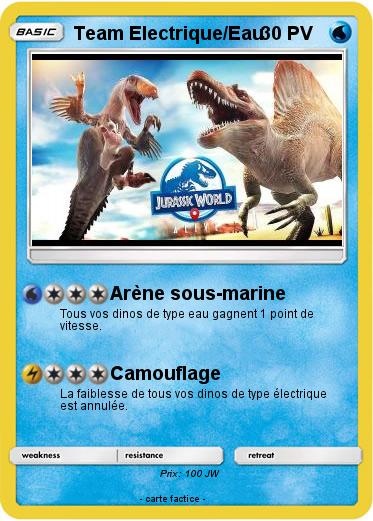 Pokemon Team Electrique/Eau