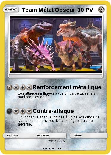 Pokemon Team Métal/Obscur