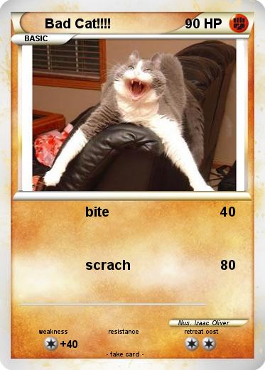 Pokemon Bad Cat!!!!
