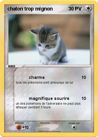Pokemon chaton trop mignon