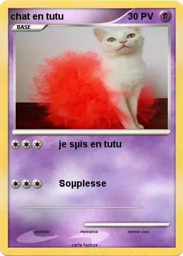 Pokemon chat en tutu