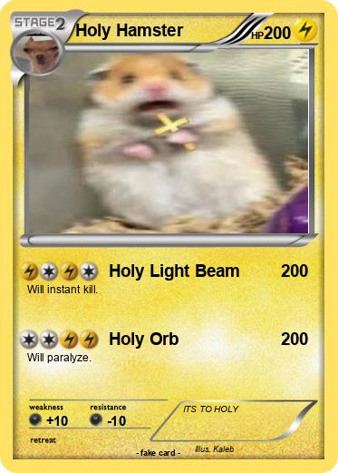 Pokemon Holy Hamster