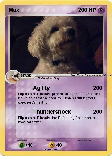 Pokemon Max