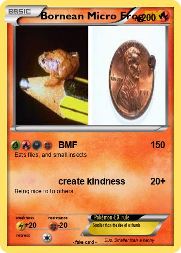 Pokemon Bornean Micro Frog