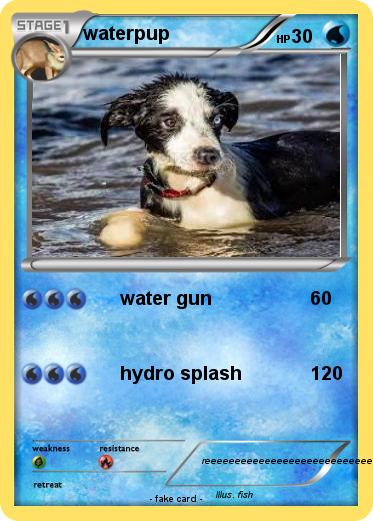 Pokemon waterpup