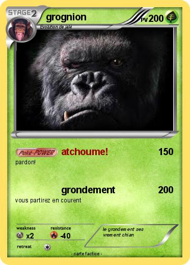 Pokemon grognion