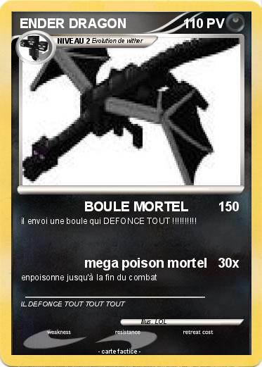 Pokemon ENDER DRAGON