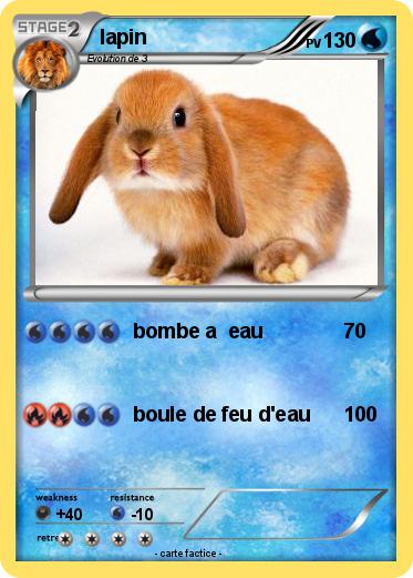 Pokemon lapin