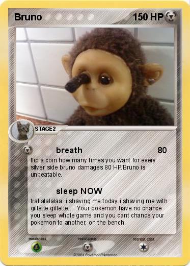 Pokemon Bruno
