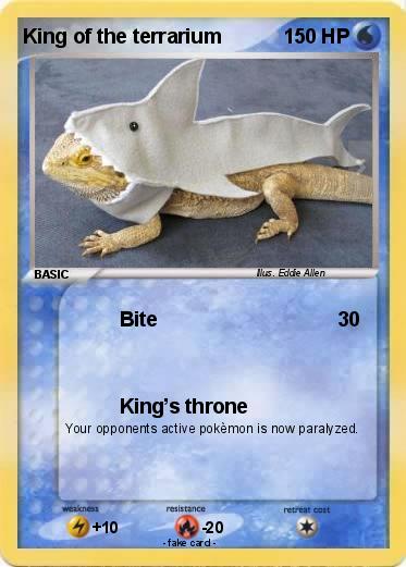 Pokemon King of the terrarium