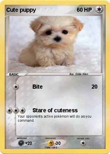 Pokemon Cute puppy