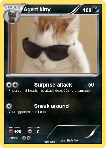 Pokemon Agent kitty