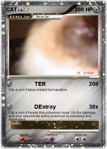 Pokemon CAT