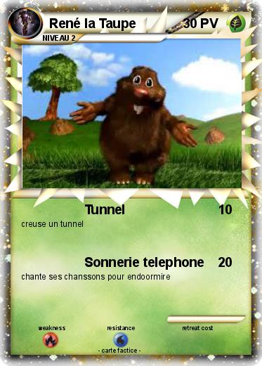 Pokemon René la Taupe