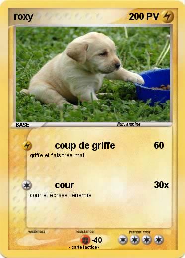 Pokemon roxy