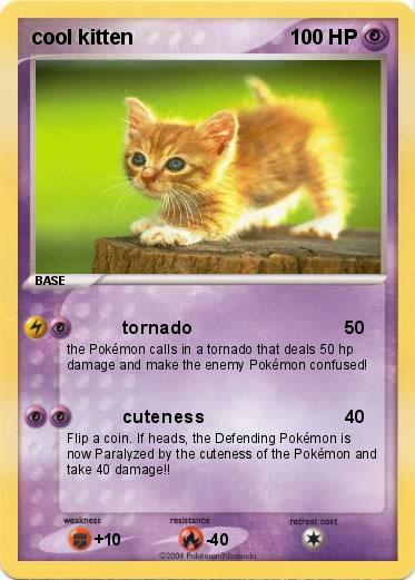 Pokemon cool kitten
