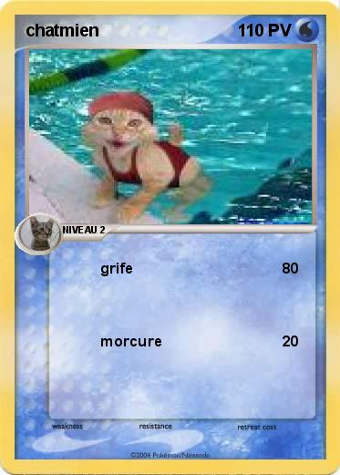 Pokemon chatmien