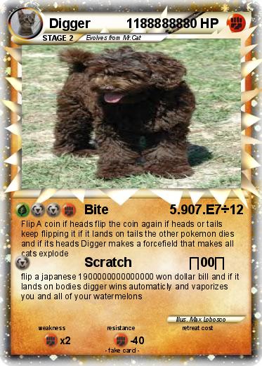 Pokemon Digger          11888888