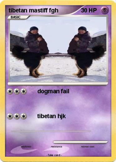 Pokemon tibetan mastiff fgh