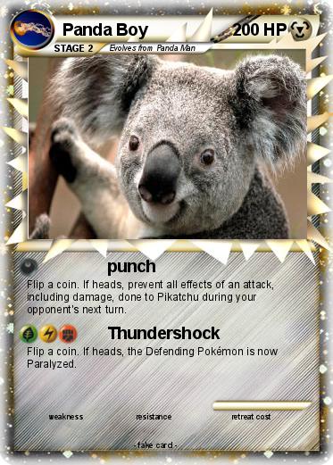 Pokemon Panda Boy