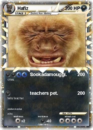 Pokemon Hafiz