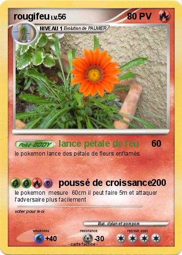 Pokemon rougifeu
