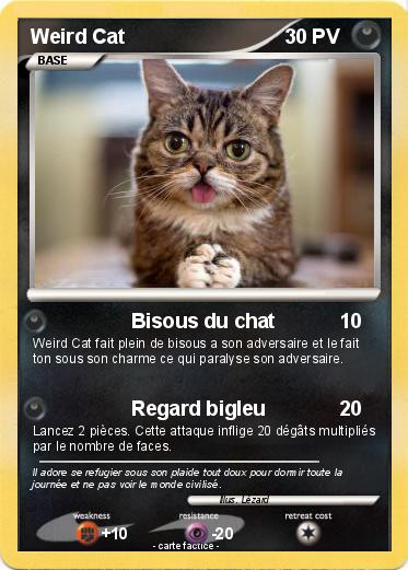 Pokemon Weird Cat