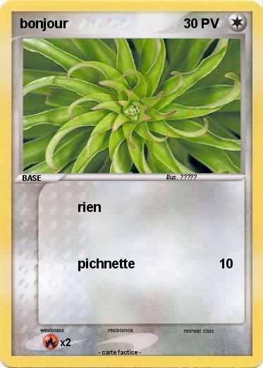 Pokemon bonjour