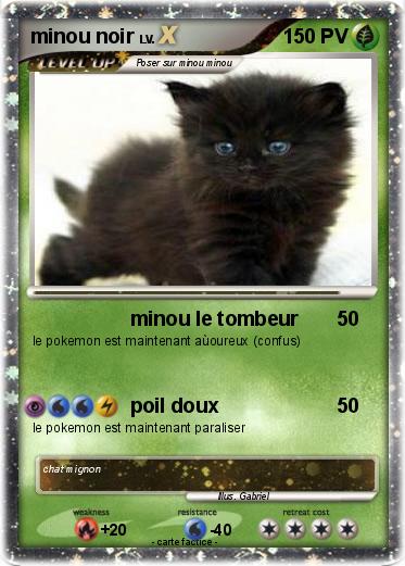 Pokemon minou noir