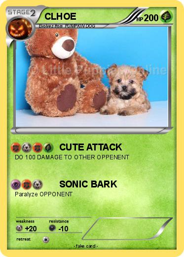 Pokemon CLHOE