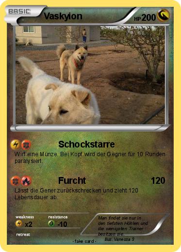 Pokemon Vaskyion