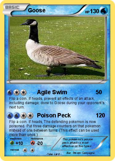 Pokemon Goose