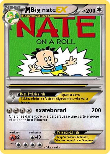 Pokemon Big nate
