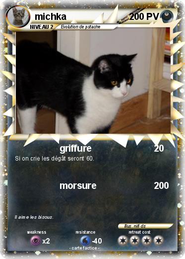 Pokemon michka