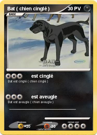 Pokemon Bat ( chien cinglé )