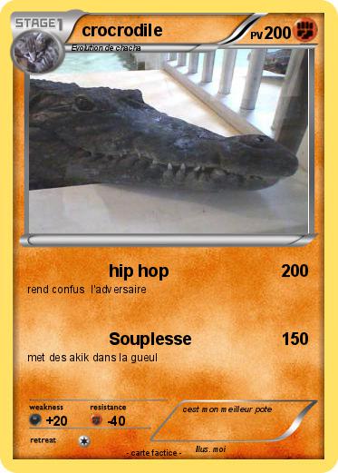 Pokemon crocrodile