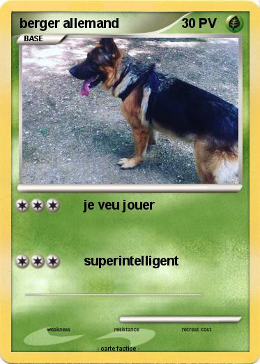Pokemon berger allemand