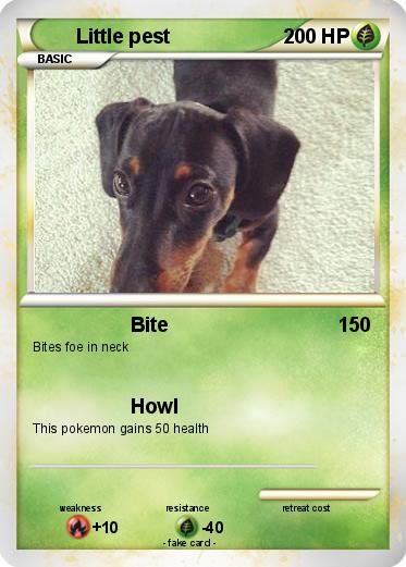 Pokemon Little pest