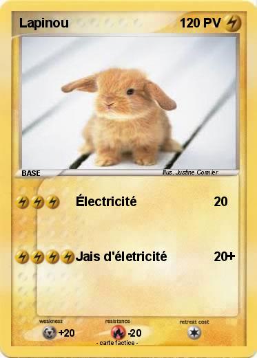 Pokemon Lapinou