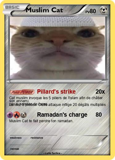 Pokemon Muslim Cat