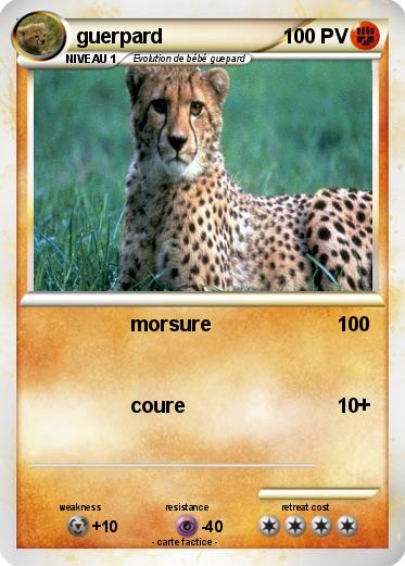 Pokemon guerpard