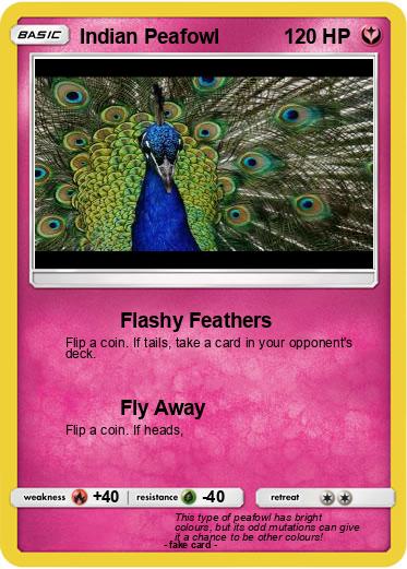 Pokemon Indian Peafowl