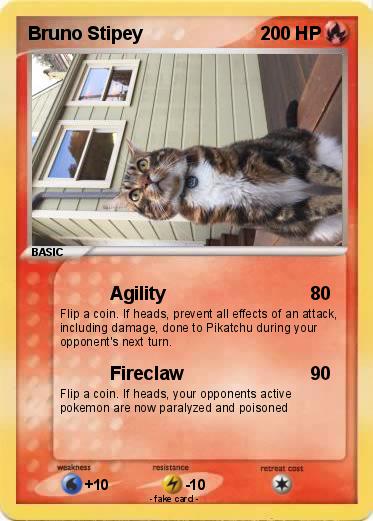 Pokemon Bruno Stipey