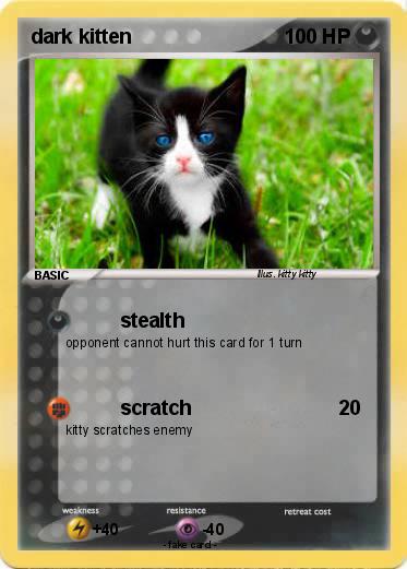 Pokemon dark kitten