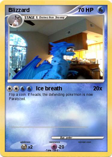 Pokemon Blizzard