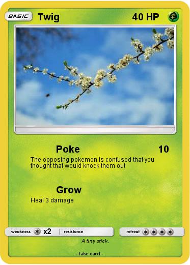 Pokemon Twig