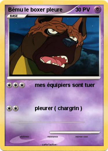 Pokemon Bému le boxer pleure