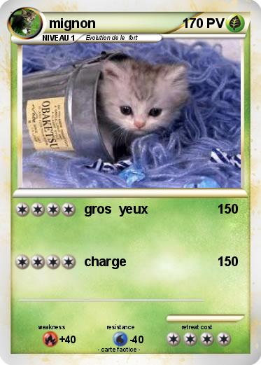 Pokemon mignon