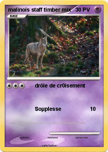 Pokemon malinois staff timber mix