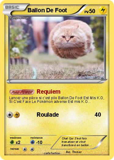 Pokemon Ballon De Foot